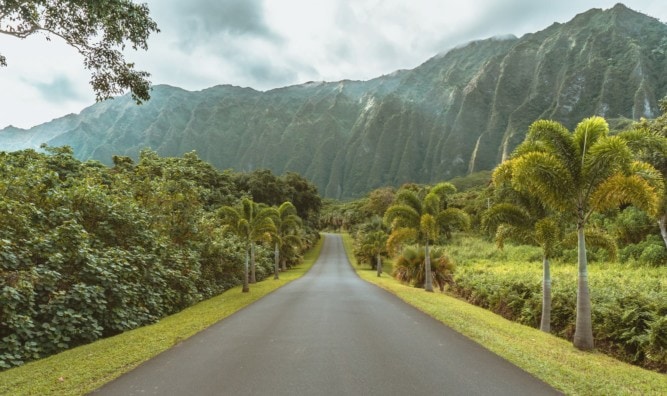 Ho’omaluhia Botanical Gardens Oahu