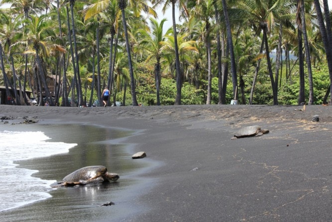 Black sand beaches on the Big Island